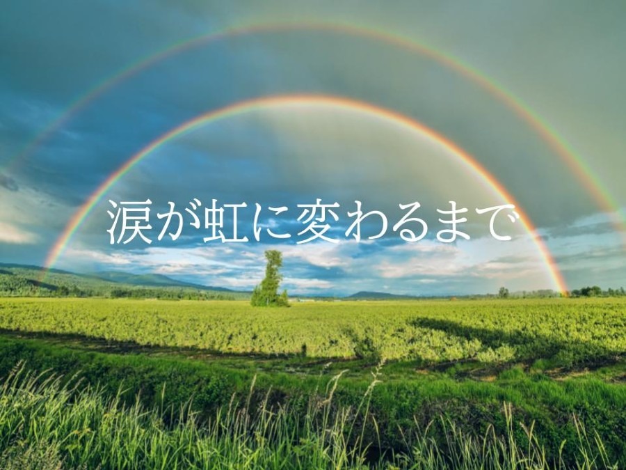 動画詩『涙が虹に変わるまで』