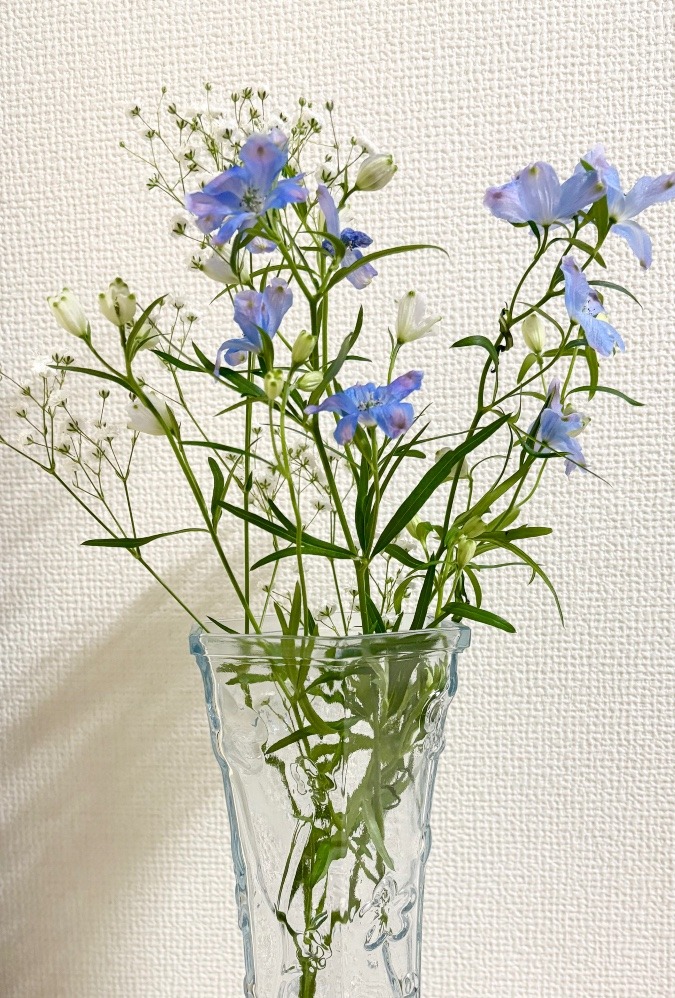 大飛燕