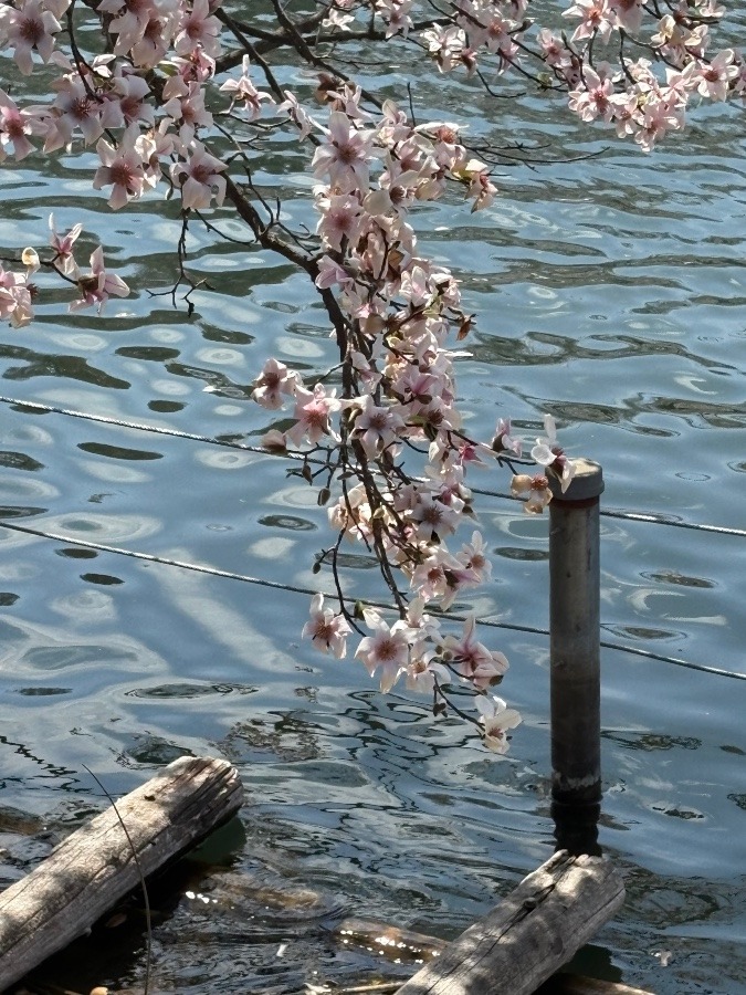 行水