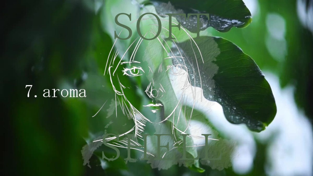 aroma