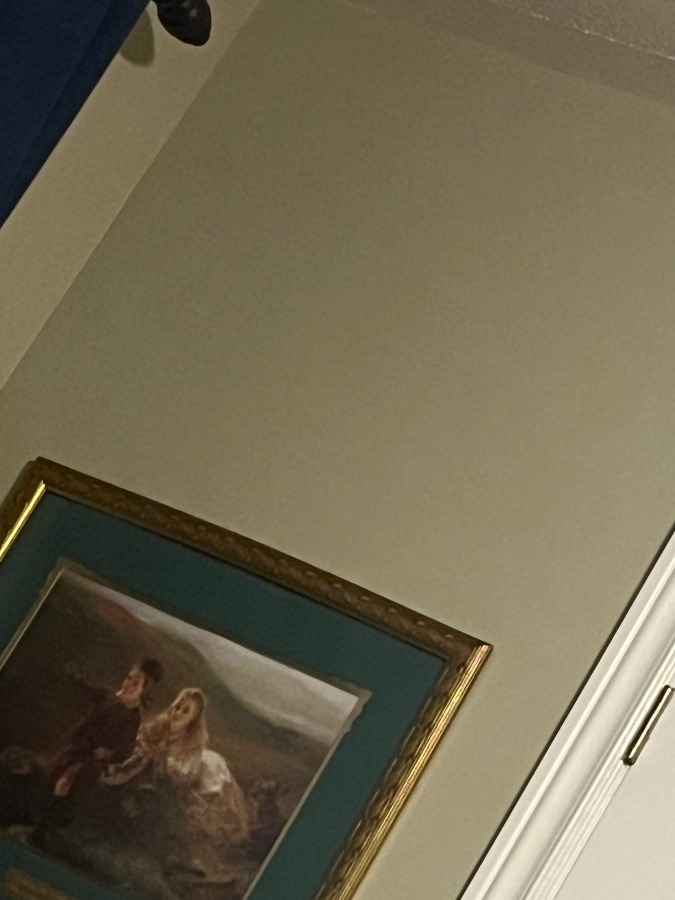 FIDELITAS