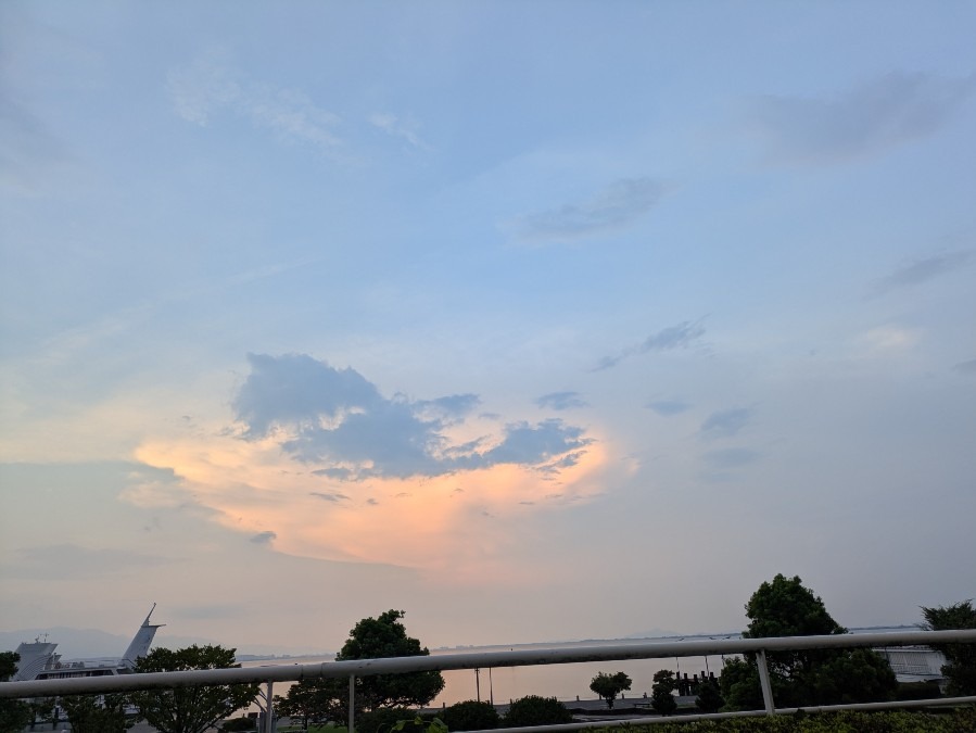夏から秋に
