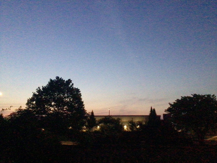 あい;してい;る
