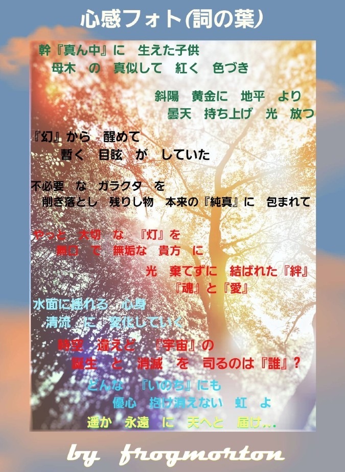 心感フォト(詞の葉)