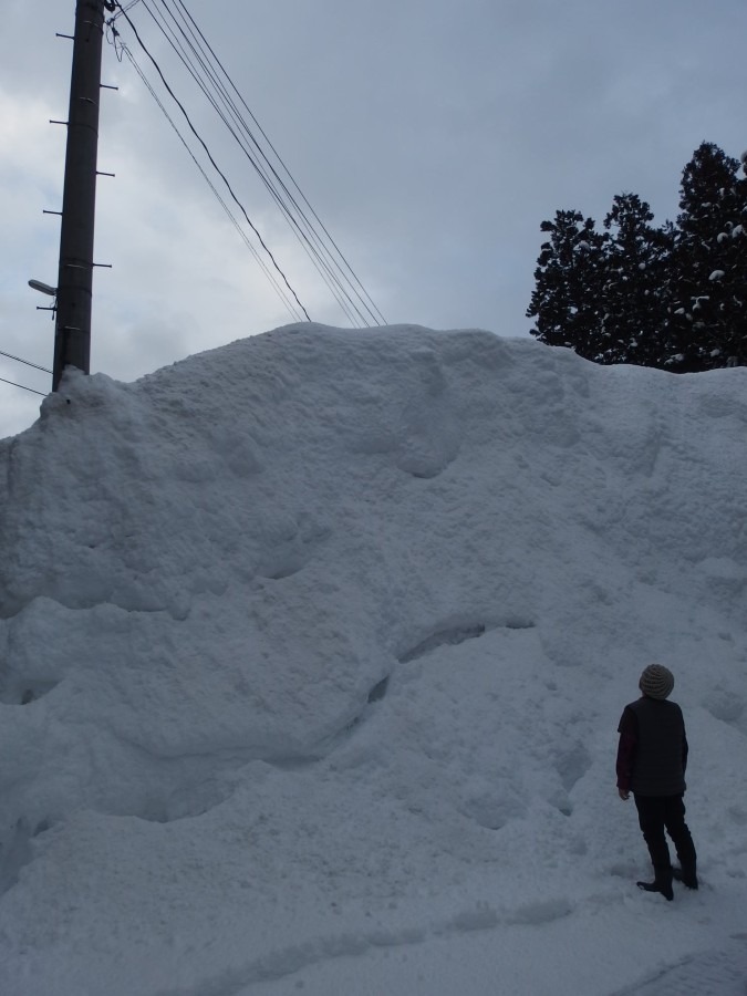 ※五行歌　四首「白い悪魔」