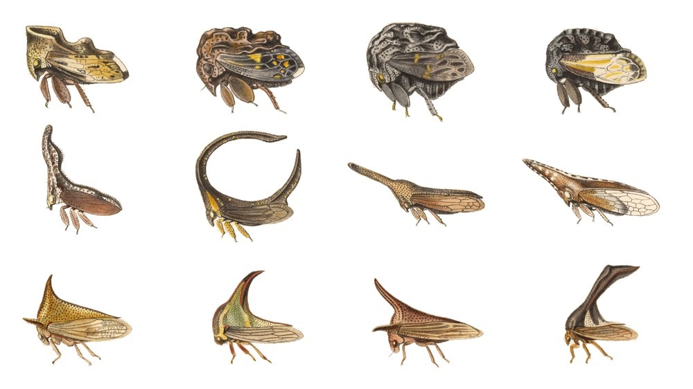 詩人の頭の中：引用ツイート合体詩