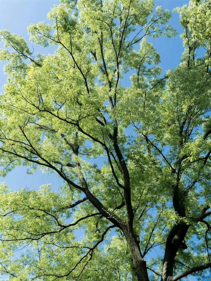 「愛してる」 と言った