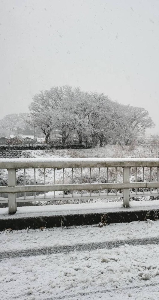 東京で雪が降った時