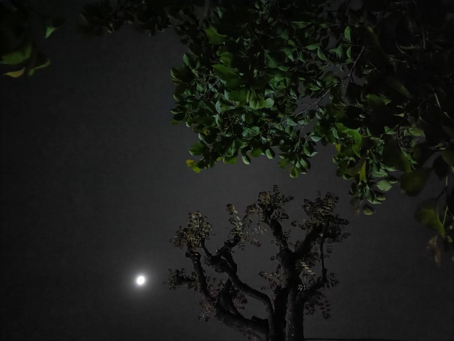 聖華倫天祭〜ValentineDay〜