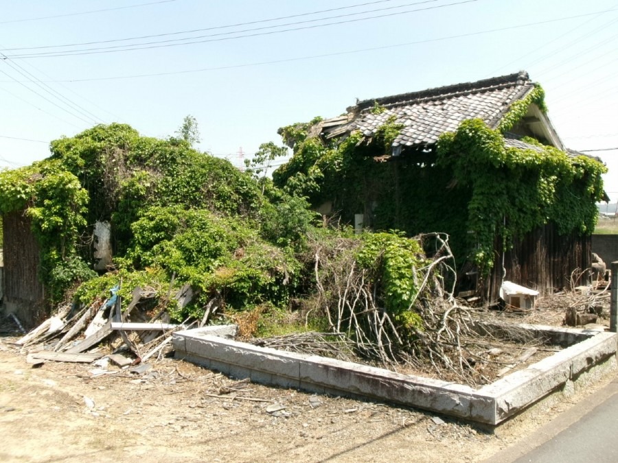 びらとべらとぼらと