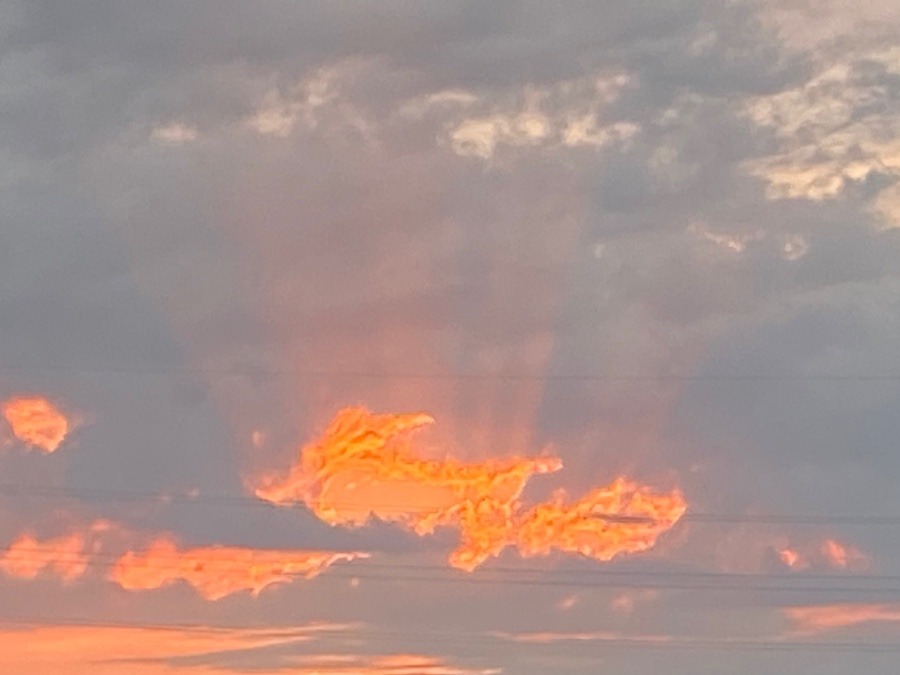 オレンジの光、明日への期待