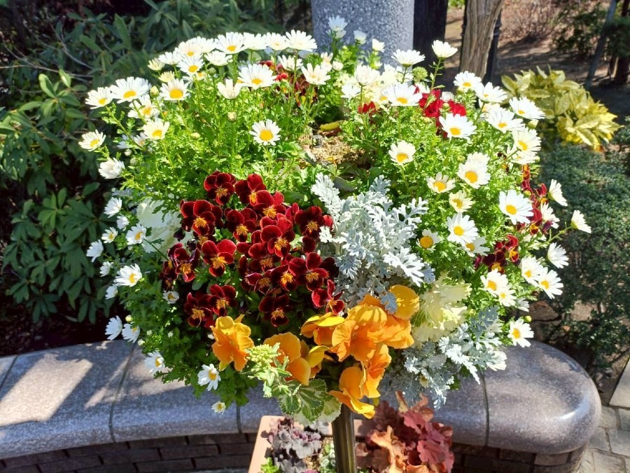 世界一大好きな詩人さんへ