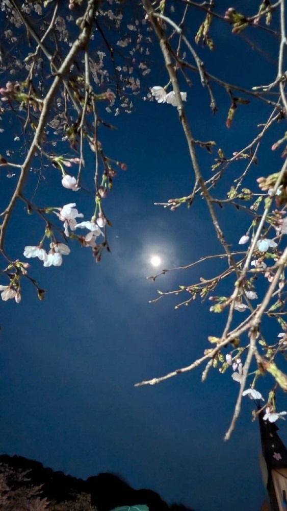 おやすみ、お日様