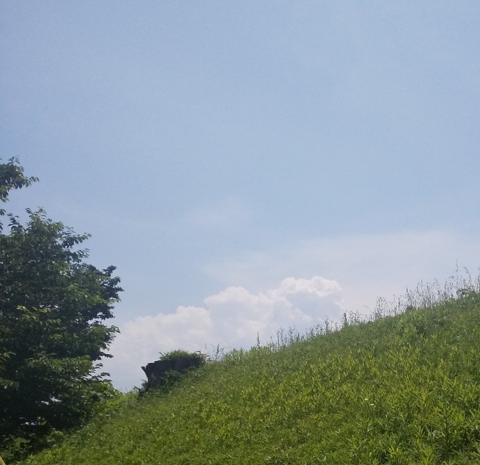 「梅雨晴間」