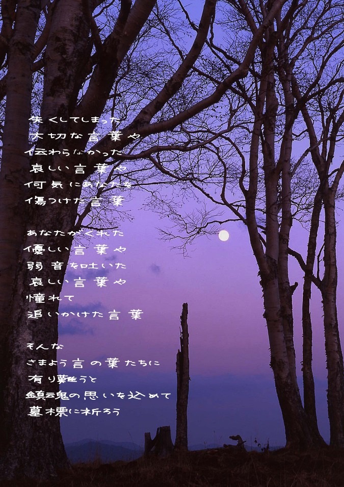彷徨う言の葉
