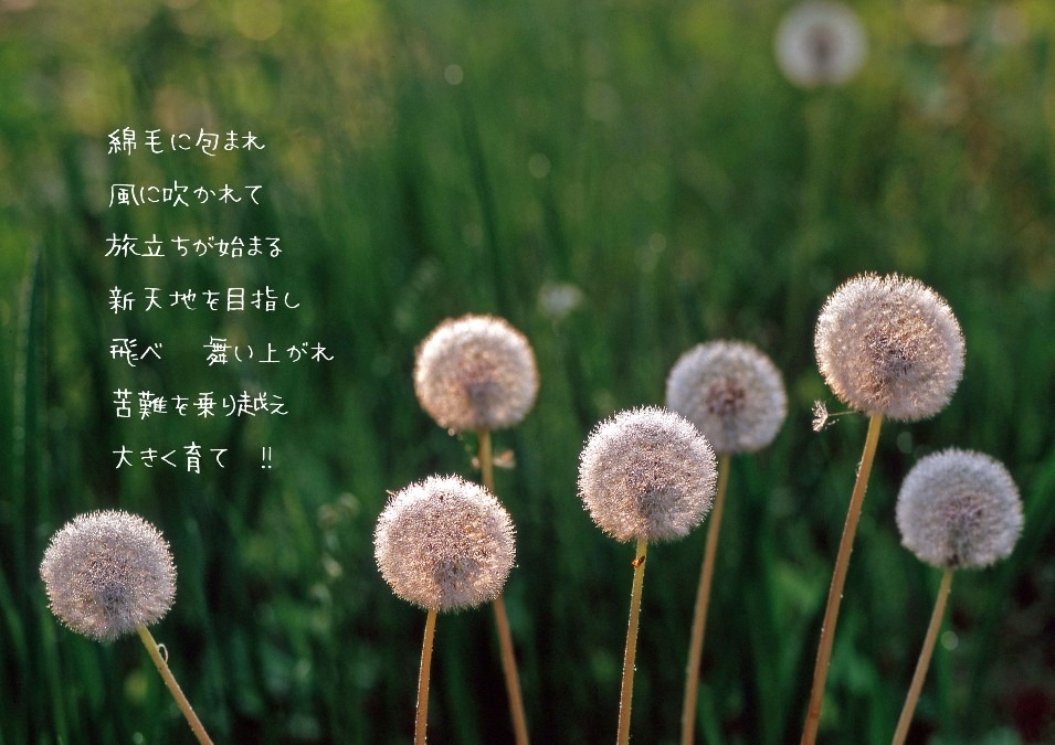 旅立ち