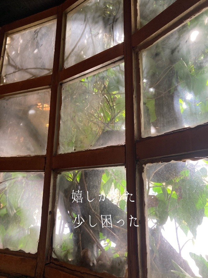 遭遇