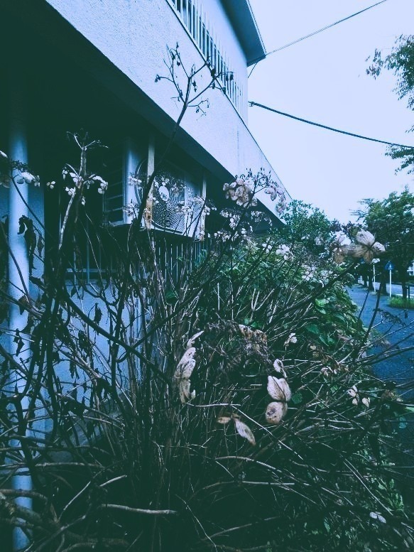 だ．ろ．う．が 、、、