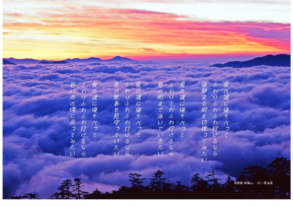 雲の波間に