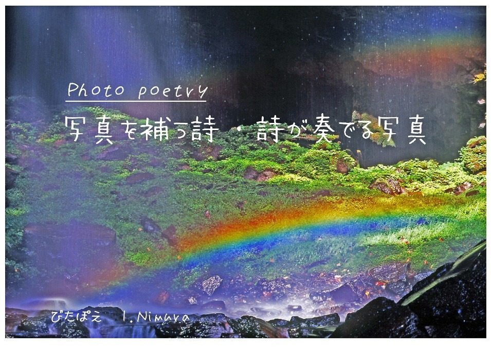 Photo poetry 写真を補う詩 ・ 詩が奏でる写真