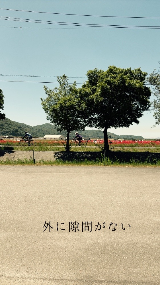 陽光