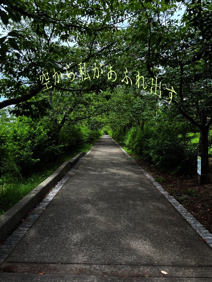 端緒
