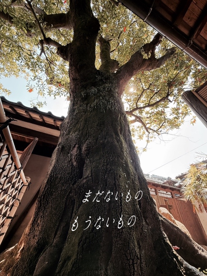 懐古