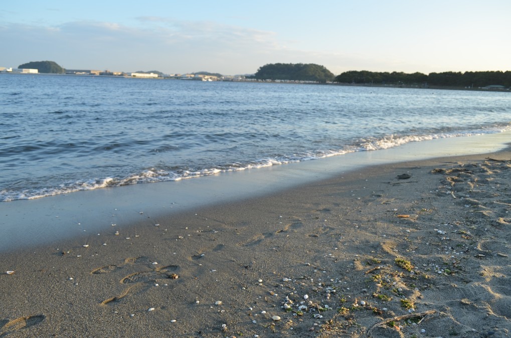 砂浜
