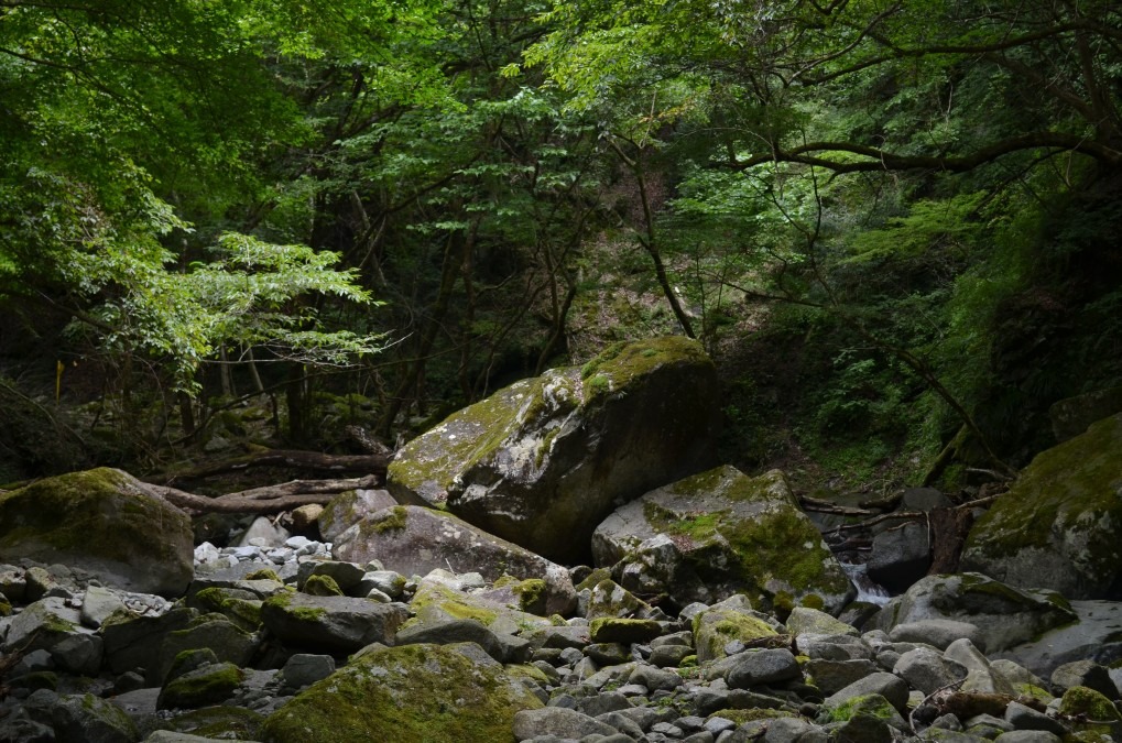 山神さま