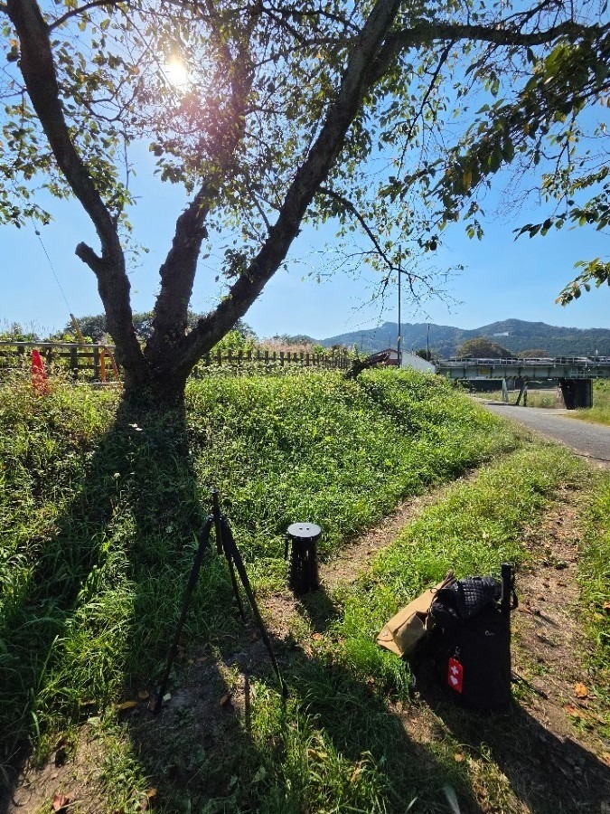 柵と檻・・・Ⅳ