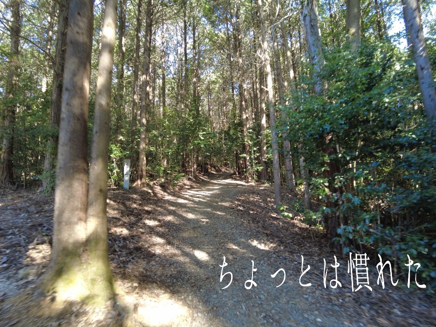 弛緩