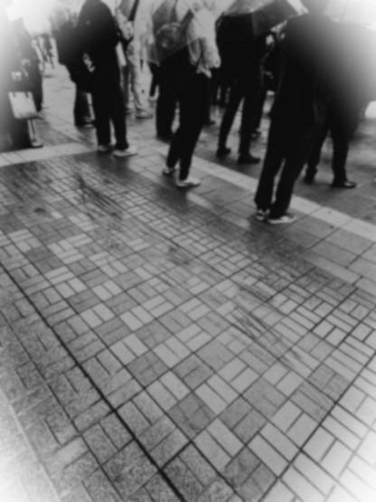 すまし顔・・・