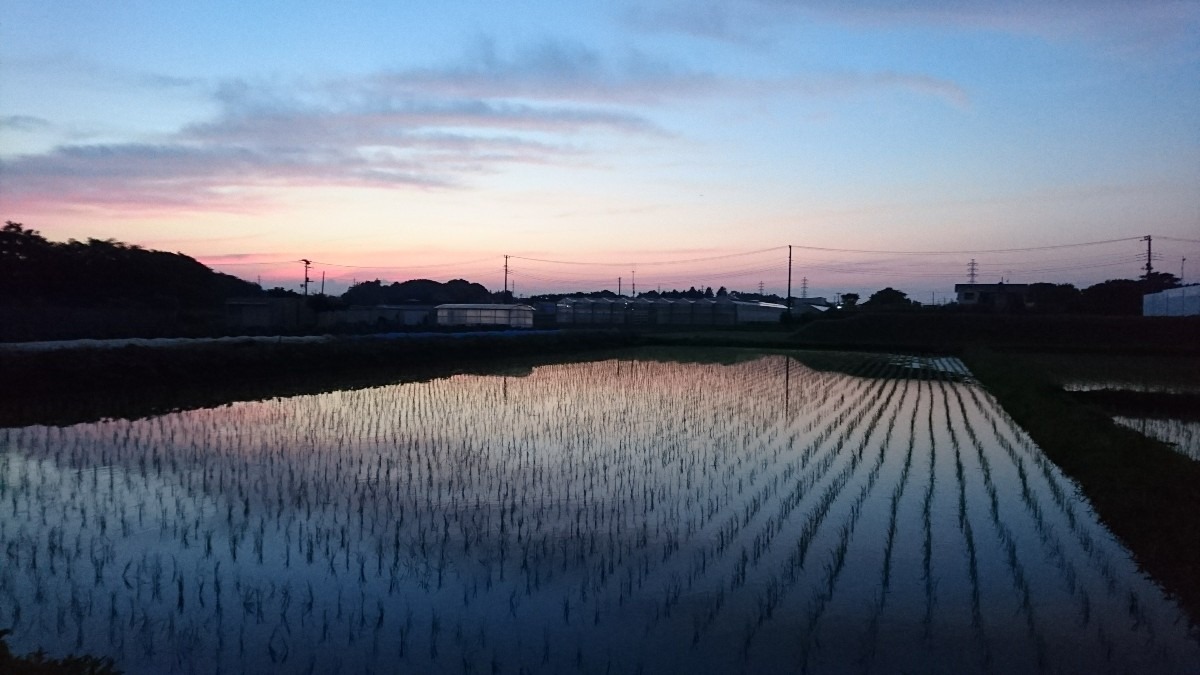 夕暮れ