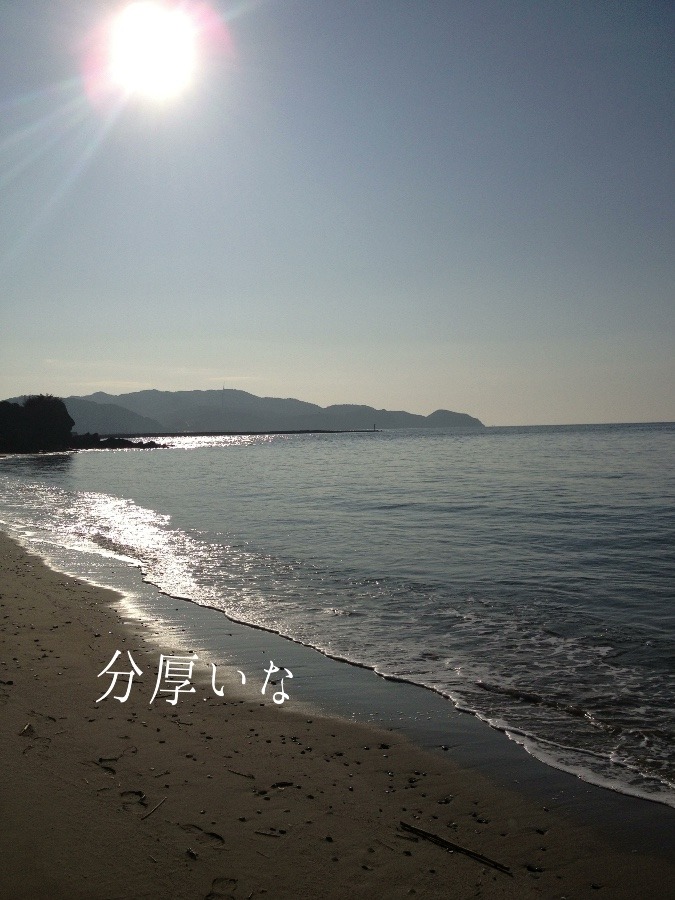 濃厚