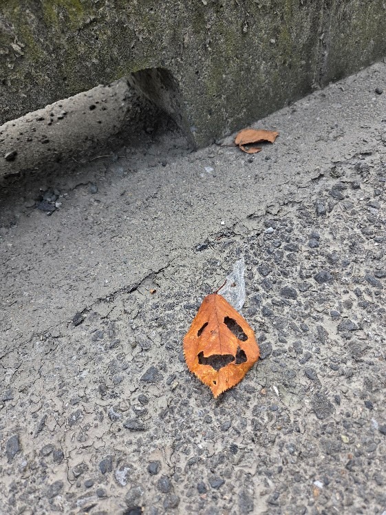 小さな秋