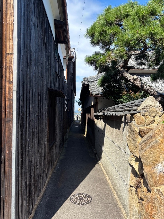 同じ夢