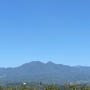 タンタン
