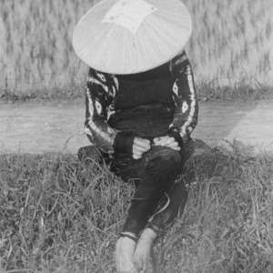 はじめまして金村です