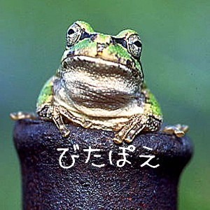 びたぽえ
