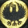 FIELD-RAVEN